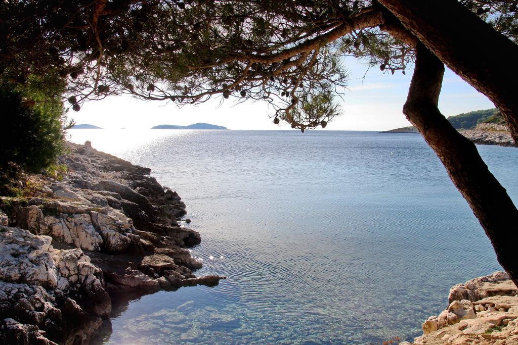 Apartments Vrvilo Rogoznica  Δωμάτιο φωτογραφία