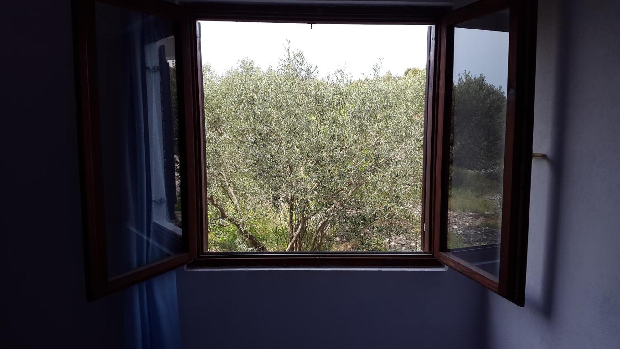 Apartments Vrvilo Rogoznica  Δωμάτιο φωτογραφία