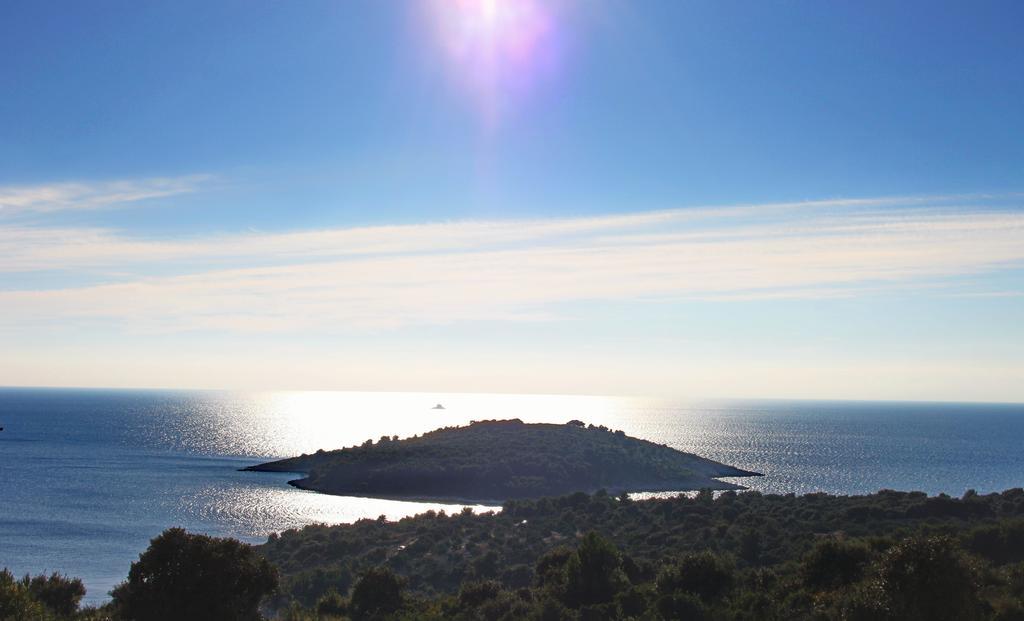 Apartments Vrvilo Rogoznica  Δωμάτιο φωτογραφία
