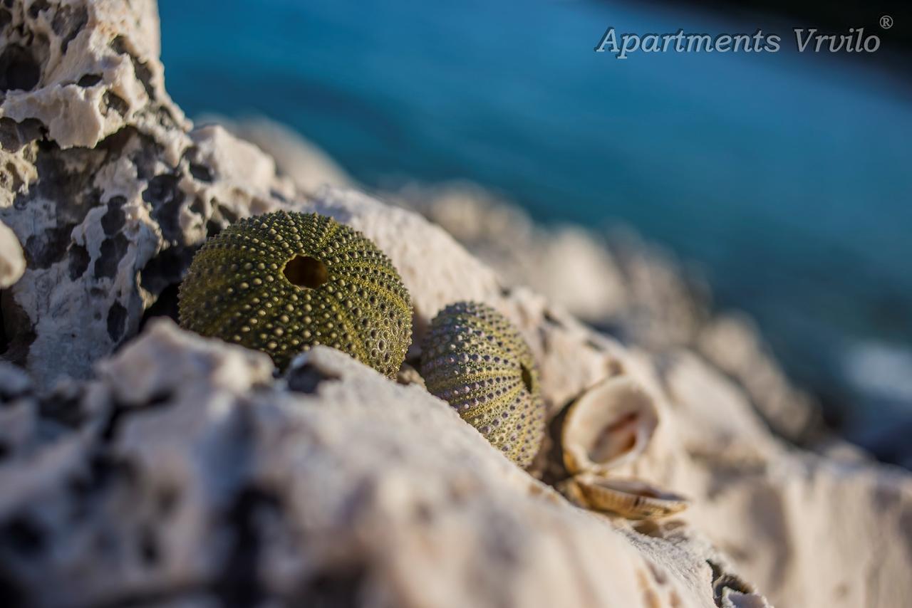 Apartments Vrvilo Rogoznica  Εξωτερικό φωτογραφία